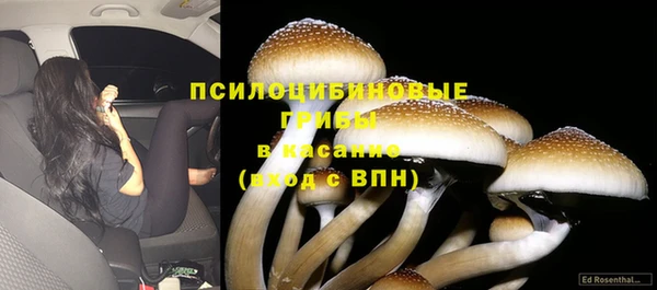 а пвп мука Медвежьегорск