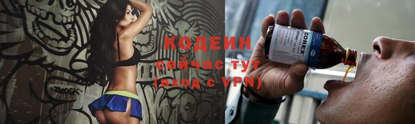 apvp Бердск