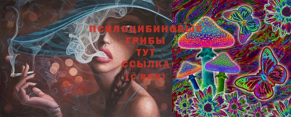 дурь Медногорск