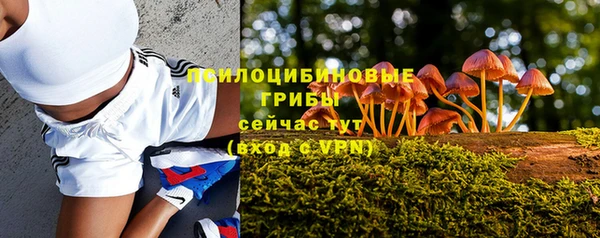 а пвп мука Медвежьегорск