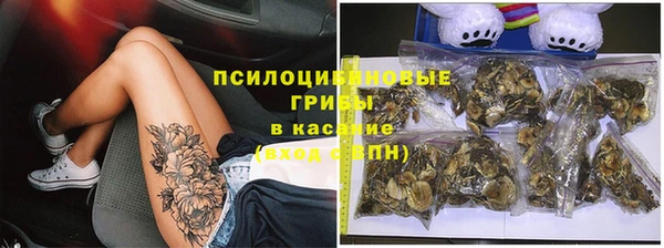 а пвп мука Медвежьегорск