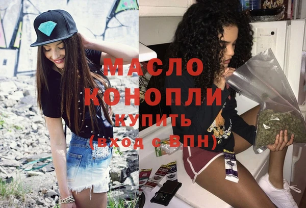 индика Михайловск