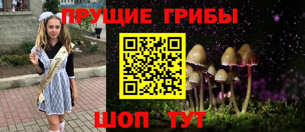 Галлюциногенные грибы Psilocybe Белгород